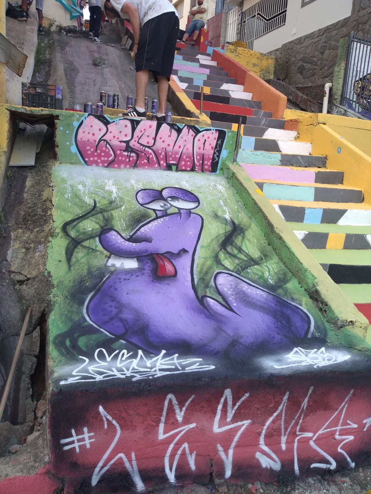 Lesma (1)