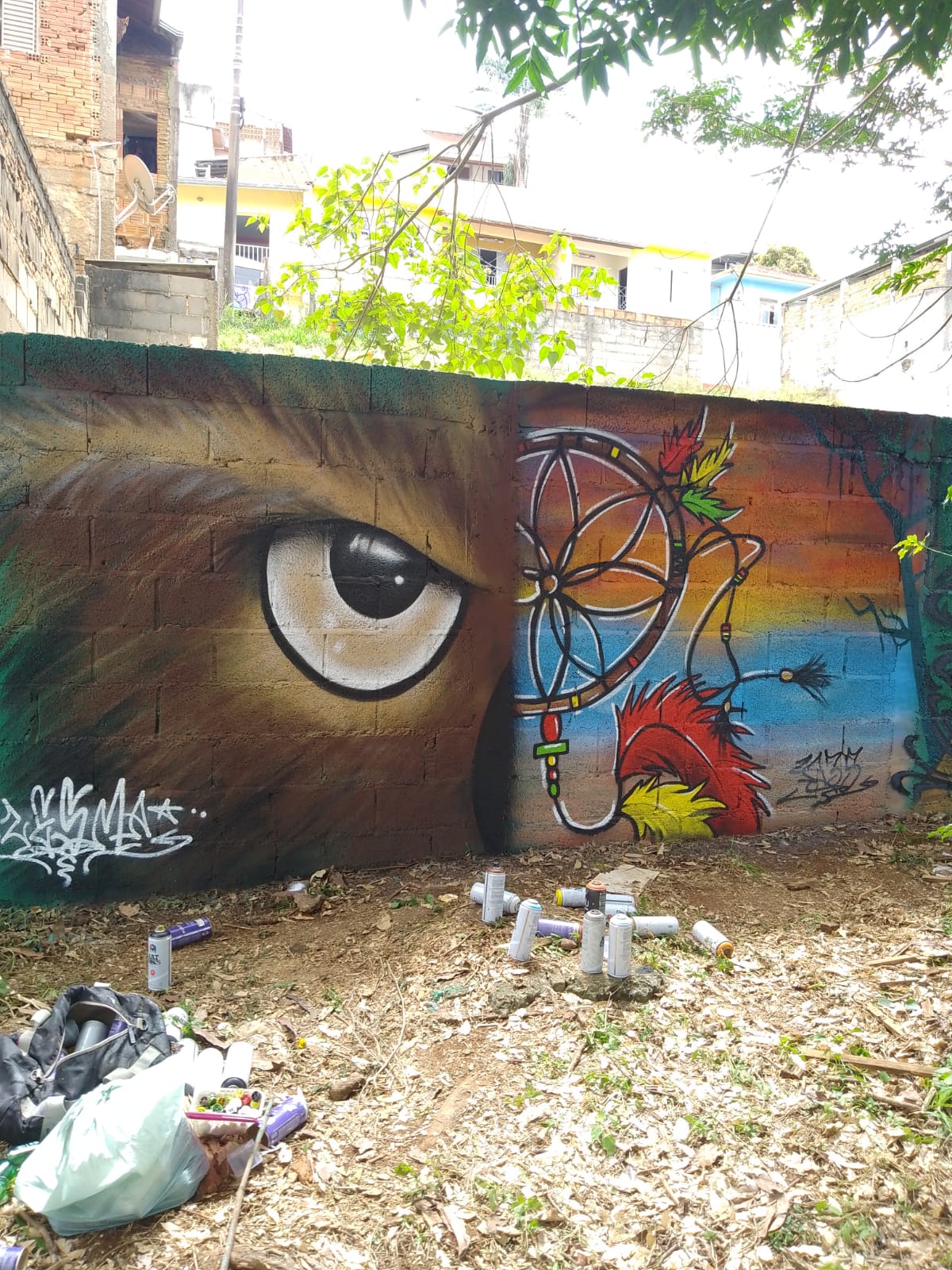 Lesma (3)